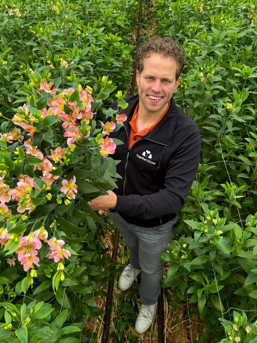 Robin van der Knaap from Together2Grow with Alstroemeria Charmelia